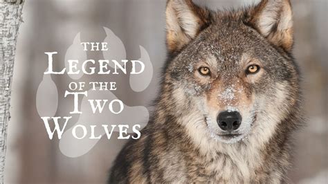 The Tale of the Two Wolves: A Journey into the Ancient Mexican Psyche